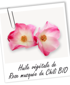 有機玫瑰果油(智利)