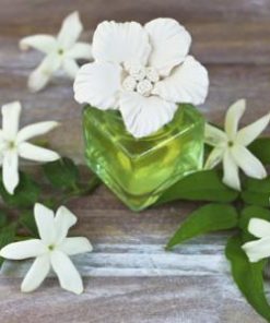 Q373272 Composition capillarite Jasmin divin 31 web