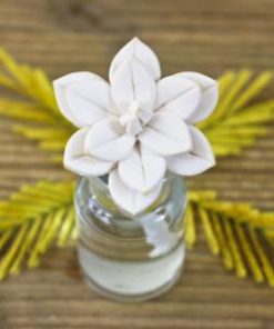 Q383288 Composition capillarite fleur mimosa web