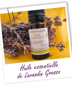 法國az普羅旺斯醒目薰衣草exp.2807