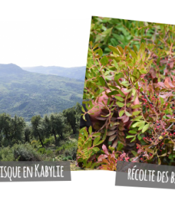 Alternative view of 薰陸香油(阿爾及利亞)