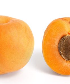 杏桃核仁油摩洛哥