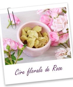 🇫🇷法國-花蠟系列