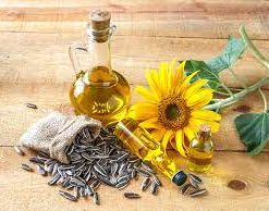 芥花油加拿大exp24/12