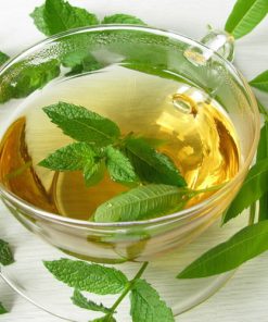 普羅旺斯馬鞭草香精