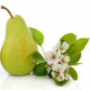 english pear and freesia 63504.1499031414