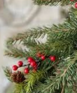 🌲🍒雲杉莓果香精