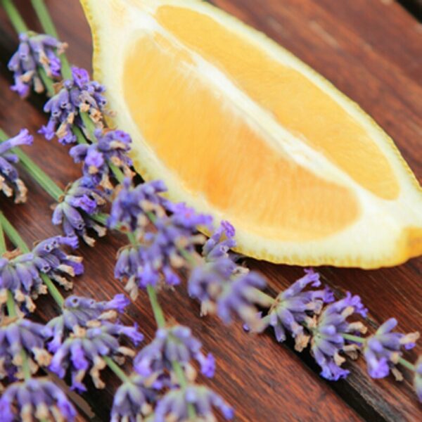 lemon lavender 12885.1484251766