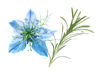 Photomontage Amla chute