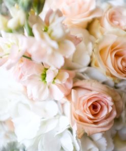 重磅炸彈(型)香精油