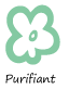 淨化