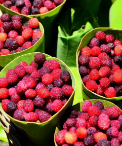 楊梅和銀樺木香精