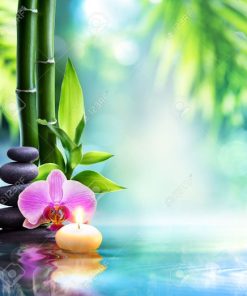 禪定天堂香精（不再進貨抱歉）