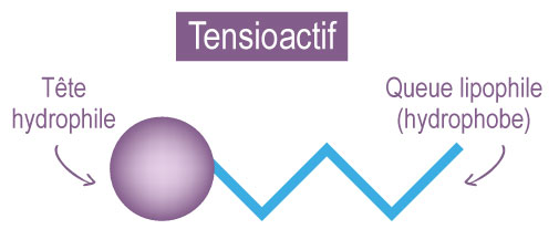 Schemas techniques Tensioactifs aroma zone 2