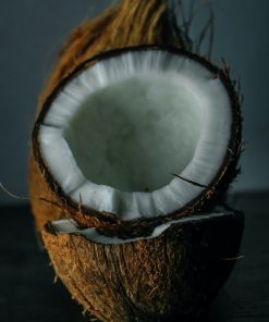 分餾椰子油德國