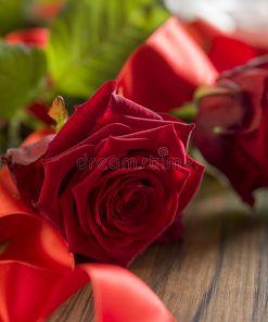 絲絨玫瑰與烏木