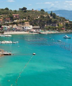 美國BB橙花與乳木果花香精