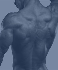 藍色香精(男性香水)