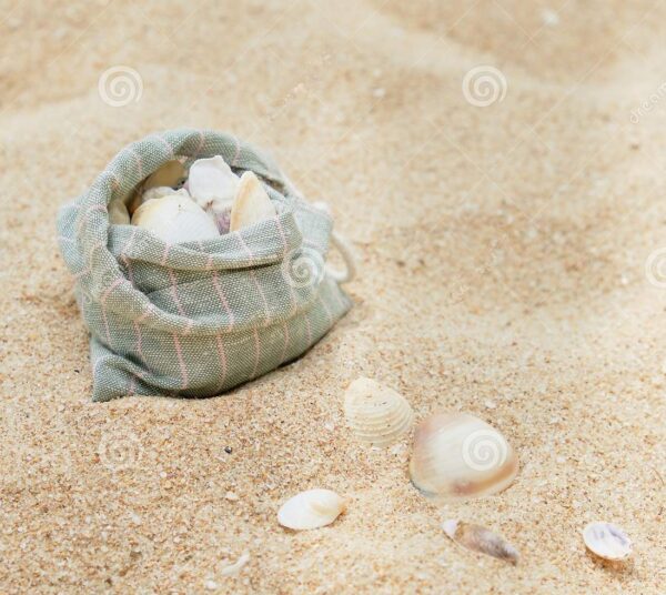 sea shell collected to linen bag sand background tropical ocean beach shore sandy beige texture seashell coast decor closeup 137730340 2