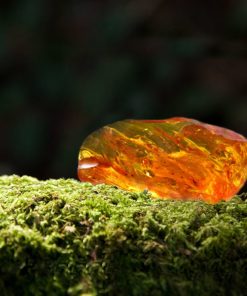 琥珀橡木苔香精