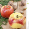 christmas cookies ribbons apples nuts cones cinnamon green arborvitae branch wooden table selective focus 61173029