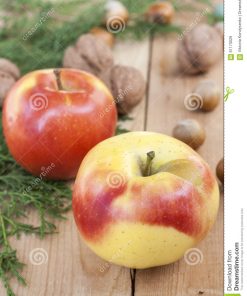 蘋果皮和橡實香精