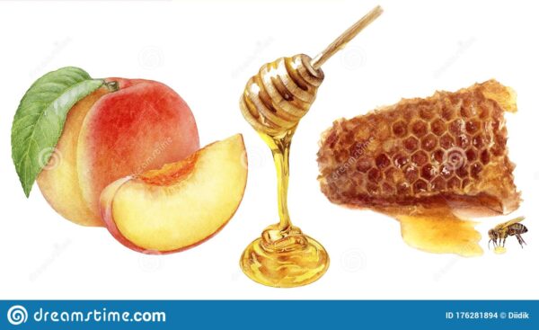 honey comb dipper peach set watercolor isolated white background honey comb dipper peach set watercolor hand drawn illustration 176281894