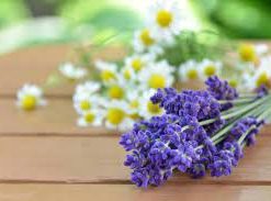 薰衣草洋甘菊香精