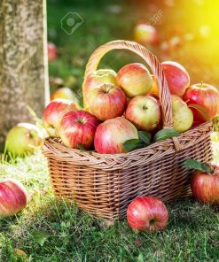 麥金塔蘋果香精