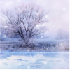 Screenshot 2023 11 12 at 11 48 26 Winter Wonderland Fragrance Oil 1