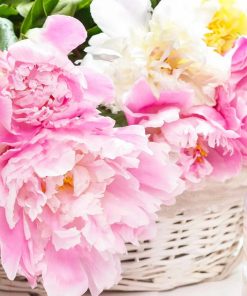 牡丹紅蘋果香精英國製