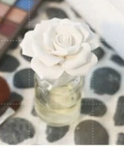 截圖 2023 12 23 上午10.46.30