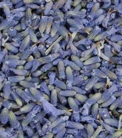 超藍薰衣草精油 法國 exp.2806