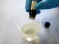 ProteinesRizHydrolysees06 Pratique2
