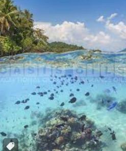 清新海洋綠洲香精