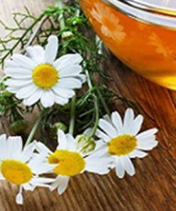 洋甘菊萃取液100ml