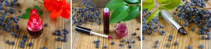 Banner_photos-紫色-著色劑-向日葵.webp