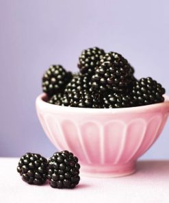 美國bb野莓花園香精