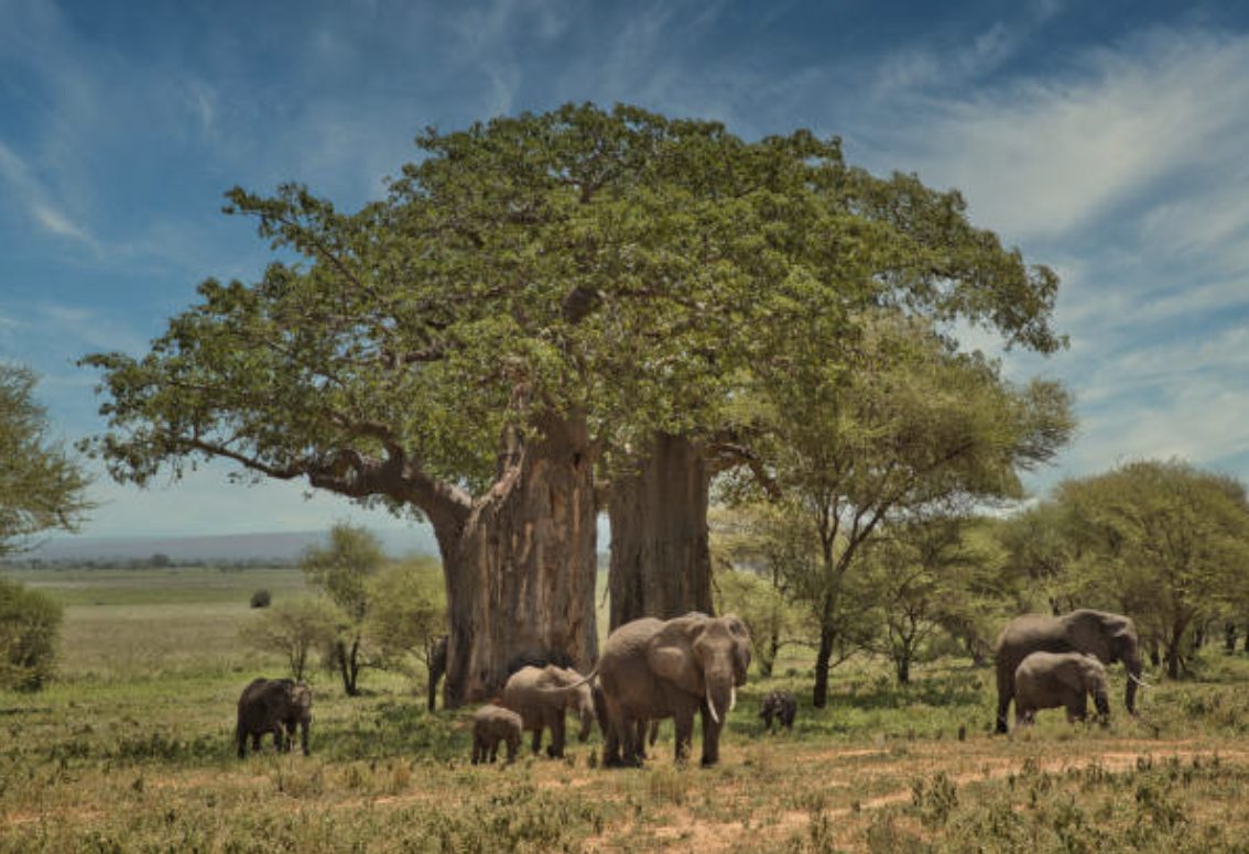 截圖 2025 10 23 下午5.01.23 large