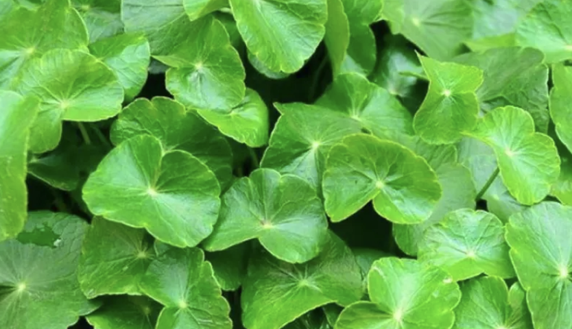 截圖 2025 10 26 晚上9.46.41 large