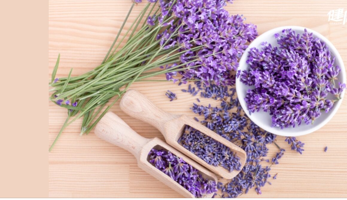 截圖 2026 01 26 上午11.18.44