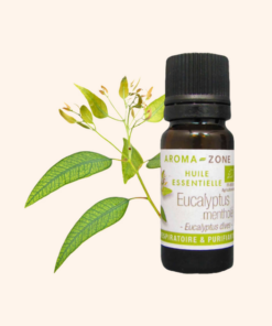 有機薄荷尤加利精油 (Huile essentielle Eucalyptus mentholé BIO)10ml