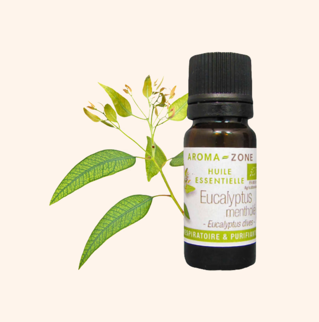 有機薄荷尤加利精油 (Huile essentielle Eucalyptus mentholé BIO)10ml
